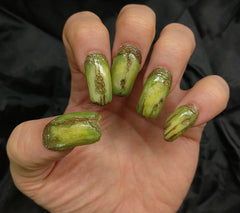 Creepy Claws: UNDEAD (green) by Dental Distortions