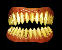 RAPTOR FX Fangs by Dental Distortions