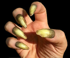 Tooth and Nail Special: Hyde FX Fangs and Worlock Creepy Claws